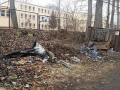2015-03-13_00012.jpg