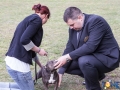 Dobre Miasto 2015-05-01_00051.jpg