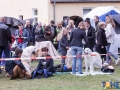Dobre Miasto 2015-05-01_00069.jpg