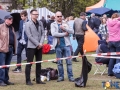 Dobre Miasto 2015-05-01_00074.jpg