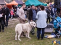 Dobre Miasto 2015-05-01_00086.jpg