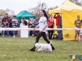Dobre Miasto 2015-05-01_00133.jpg