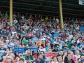Dobre Miasto 2015-06-27_00065
