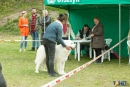 2016-05-01 dobre miasto wystawa psów psy (52)