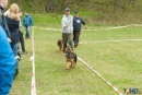 2016-05-01 dobre miasto wystawa psów psy (64)
