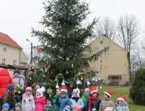 2016-12-01 sowińskiego choinka kolędy (22)