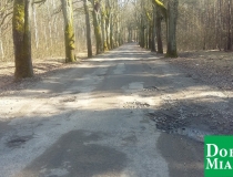 20170314_113429 (Medium)