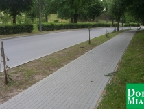 dobre miasto zwycięstwa połamane drzewa (10)