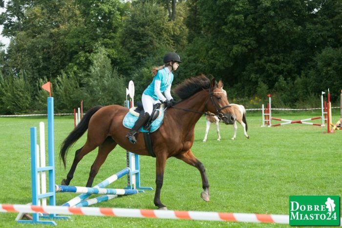 Zawody-konne-Dobre-Miasto_00003