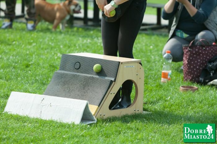 Zawody-konne-Dobre-Miasto_00023