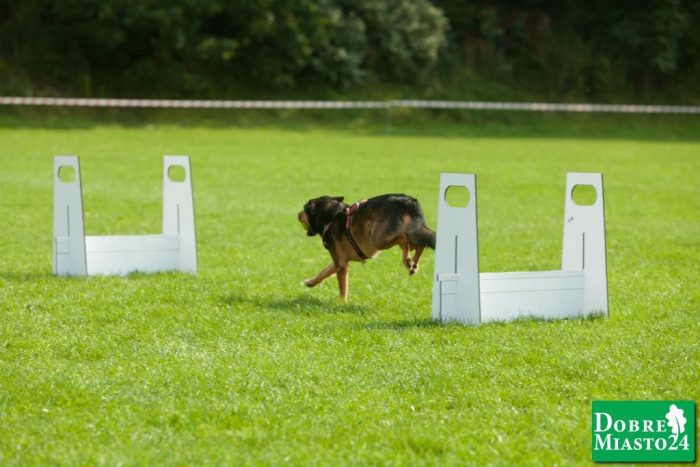 Zawody-konne-Dobre-Miasto_00029