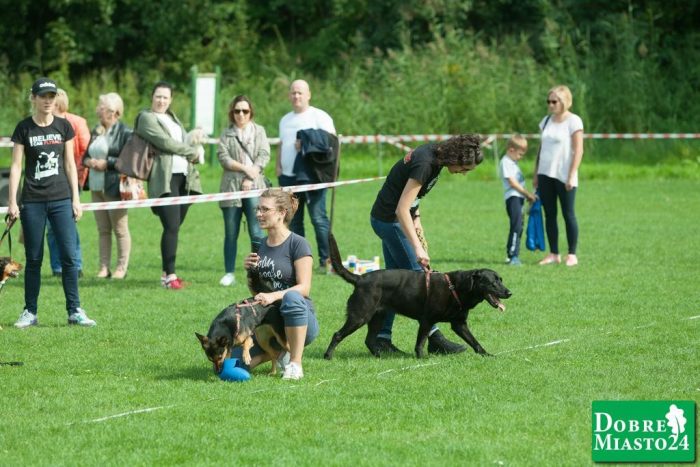 Zawody-konne-Dobre-Miasto_00033