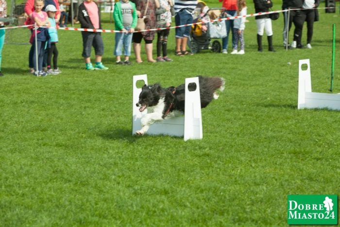 Zawody-konne-Dobre-Miasto_00040
