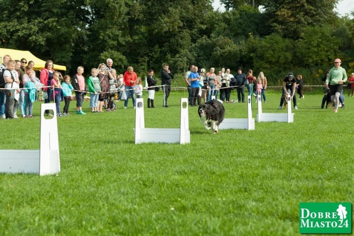 Zawody-konne-Dobre-Miasto_00044