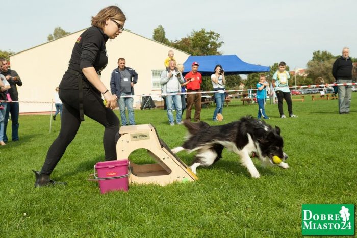 Zawody-konne-Dobre-Miasto_00045
