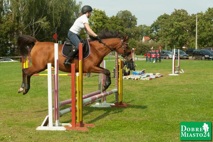 Zawody-konne-Dobre-Miasto_00075