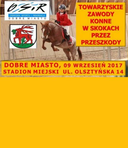 zawody_konne2017_700